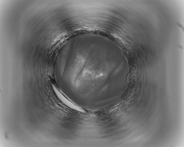 X0000095531110200712281516