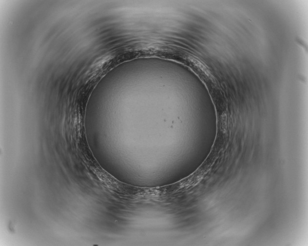 X0000095531111200712281516
