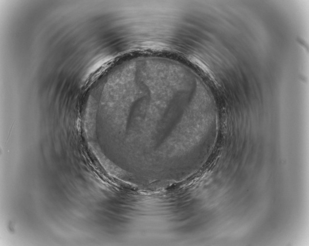 X0000095531112200712281516