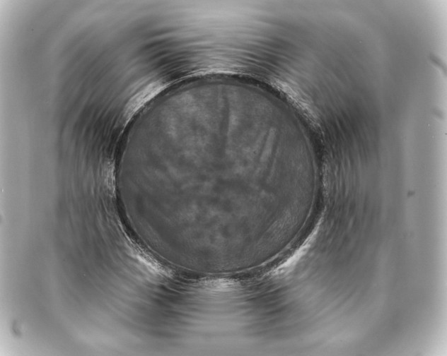 X0000095531113200712281516