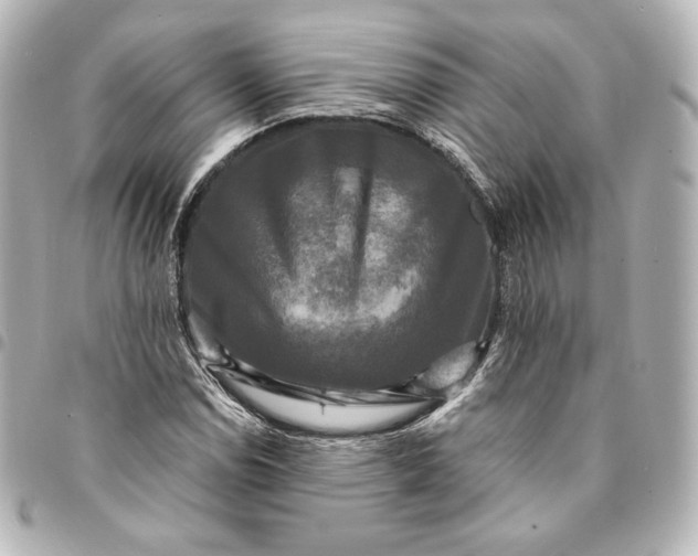 X0000095531114200712281516