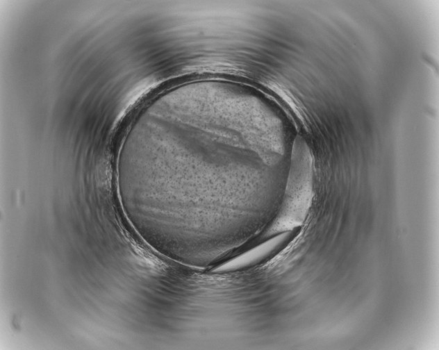 X0000095531115200712281516