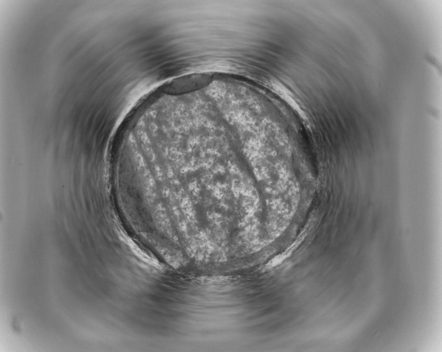 X0000095531116200712281516