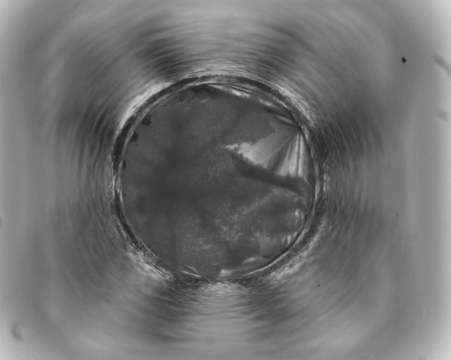 X0000095531117200712281516