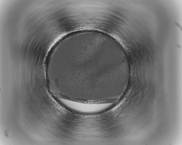 X0000095531118200712281516