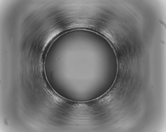 X0000095531119200712281516