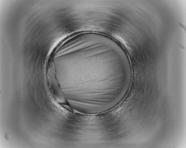 X0000095531120200712281516