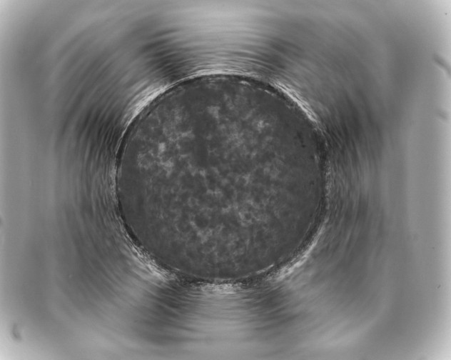 X0000095531121200712281516
