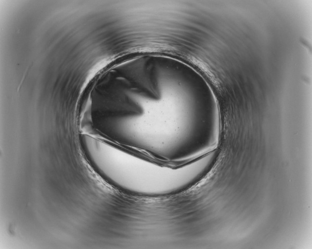X0000095531122200712281516