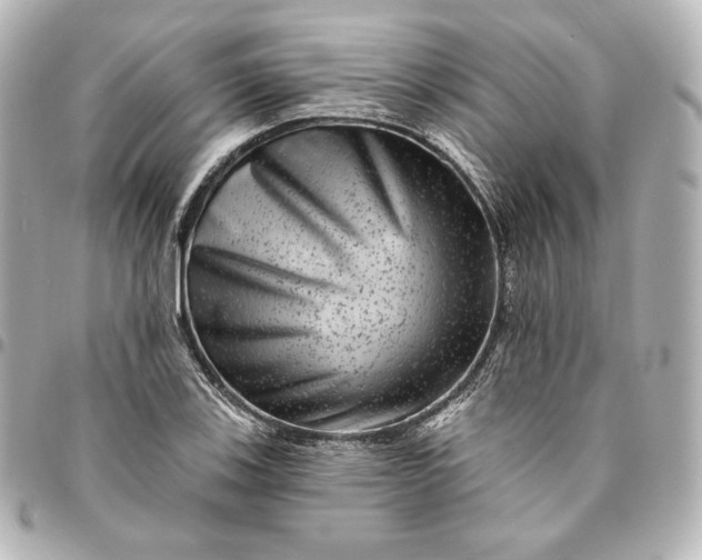 X0000095531123200712281516