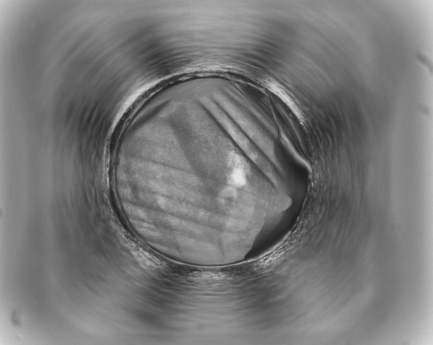 X0000095531124200712281516