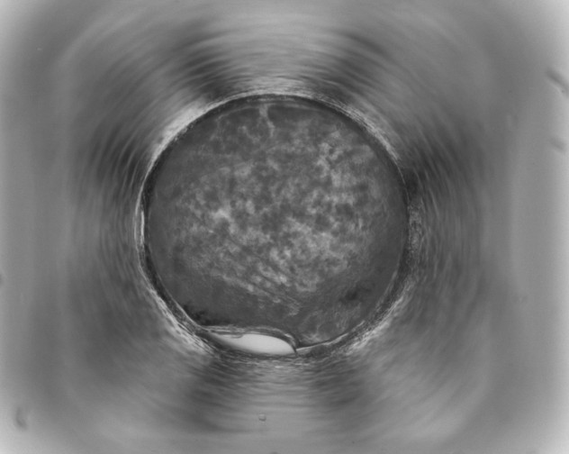 X0000095531125200712281516
