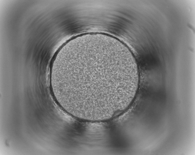 X0000095531126200712281516