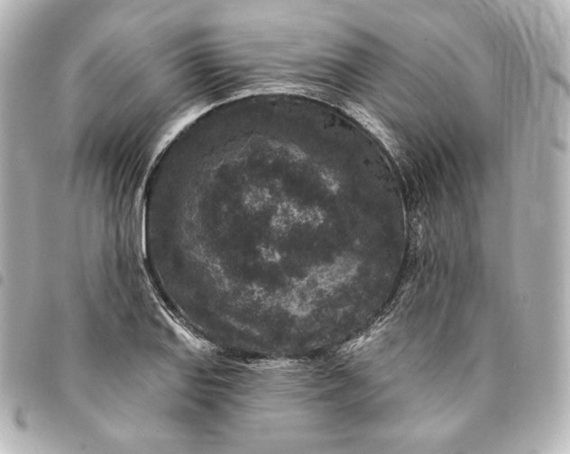 X0000095531127200712281516