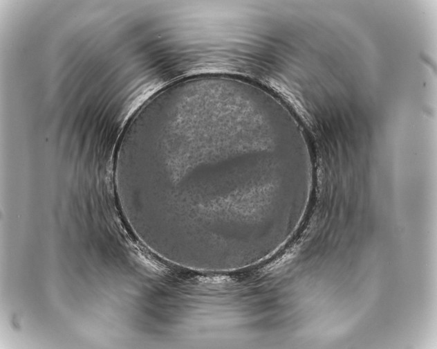X0000095531129200712281516