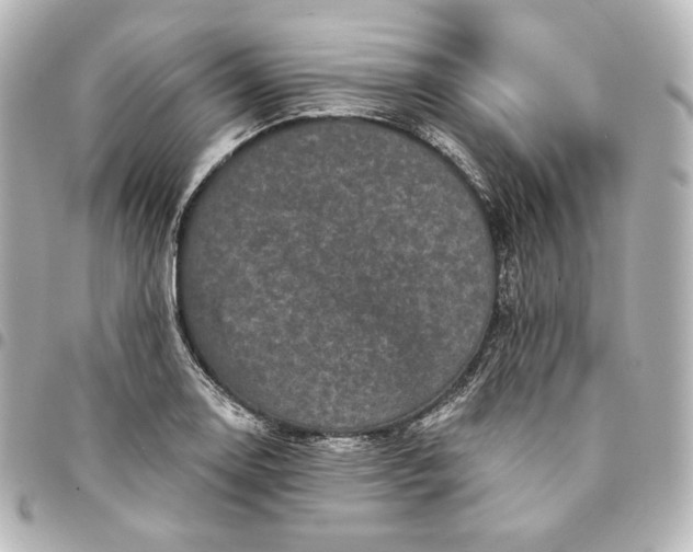 X0000095531130200712281516