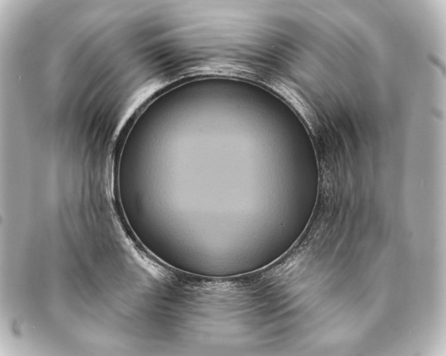 X0000095531131200712281516