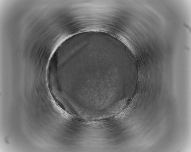 X0000095531132200712281516