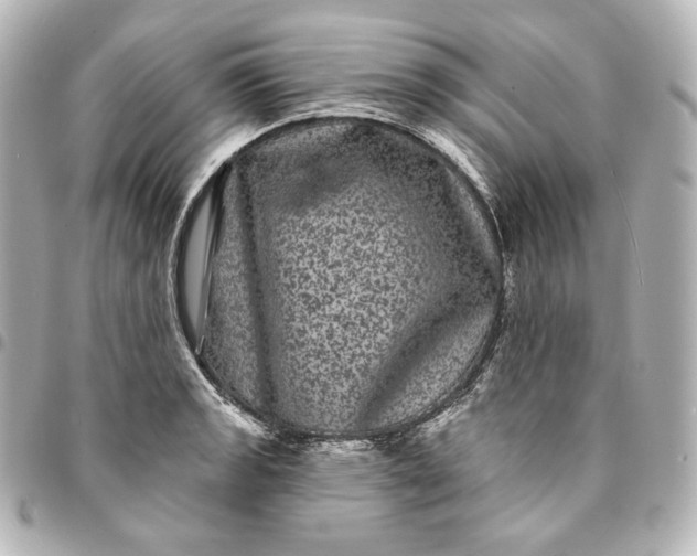 X0000095531133200712281516