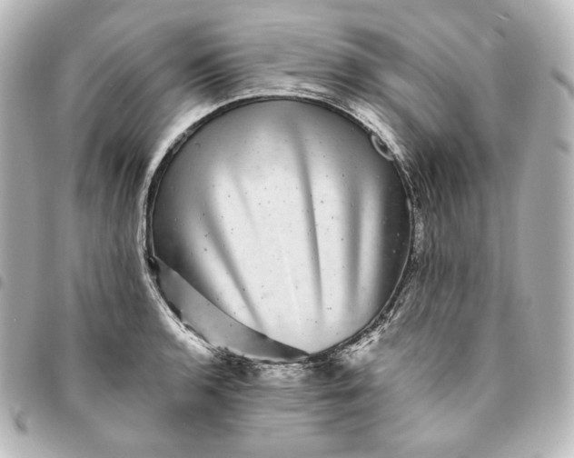 X0000095531136200712281516