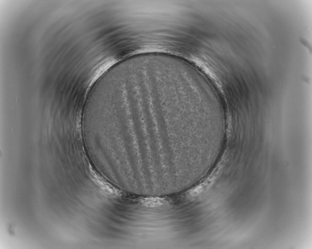 X0000095531137200712281516