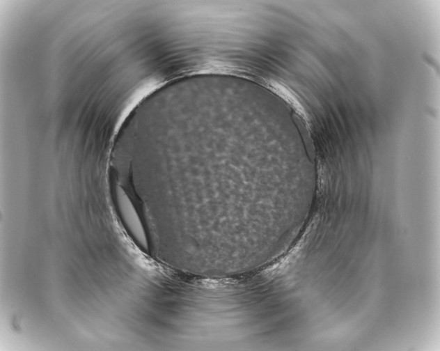 X0000095531138200712281516