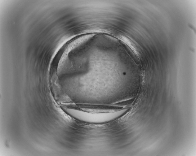 X0000095531140200712281516