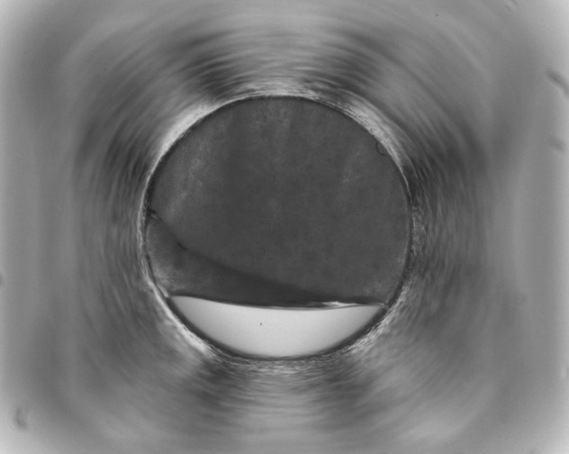X0000095531141200712281516
