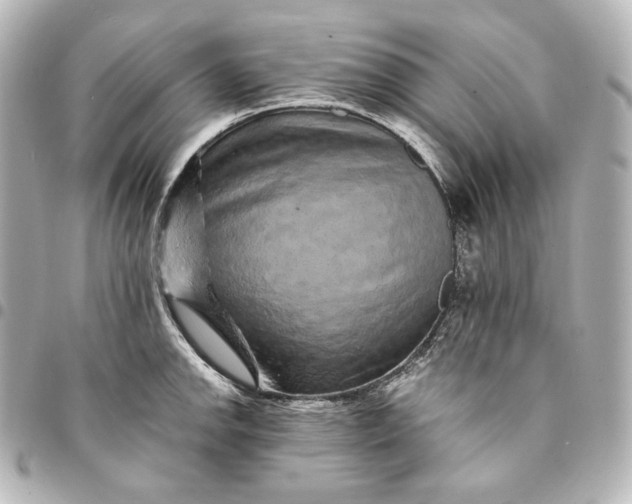 X0000095531142200712281516