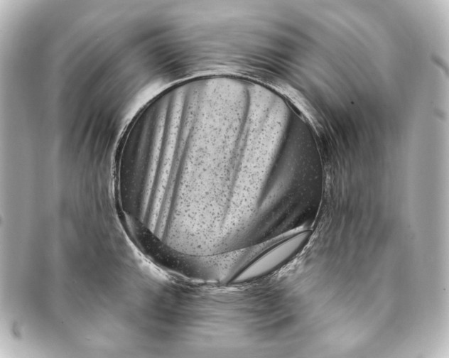 X0000095531143200712281516