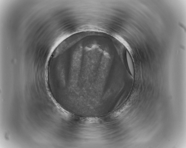 X0000095531144200712281516