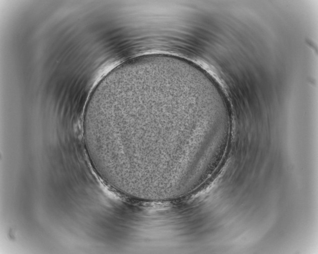 X0000095531145200712281516
