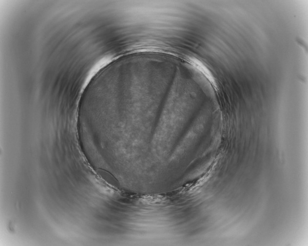 X0000095531146200712281516