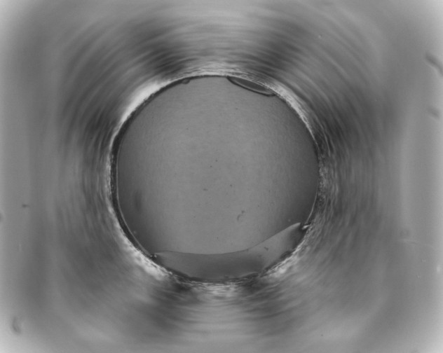 X0000095531147200712281516