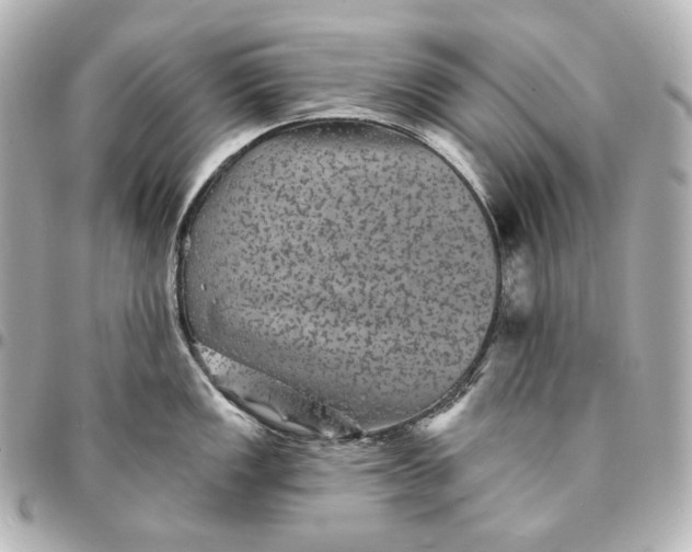 X0000095531149200712281516