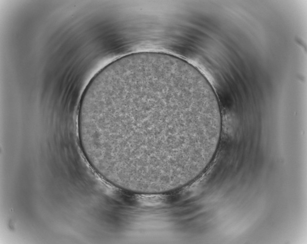 X0000095531150200712281516