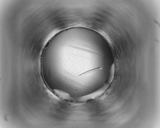 X0000095531151200712281517