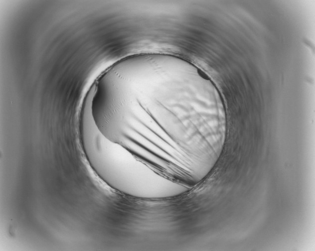 X0000095531152200712281517