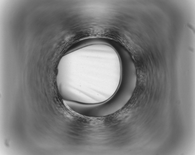 X0000095531153200712281516