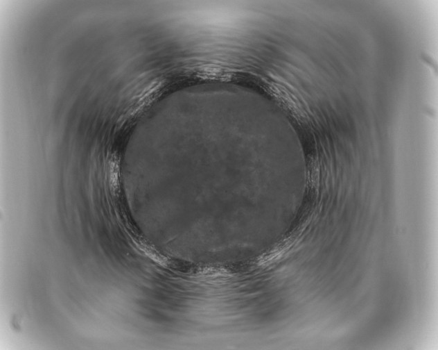 X0000095531154200712281516