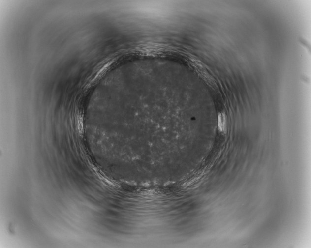 X0000095531155200712281516