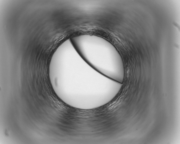 X0000095531156200712281516