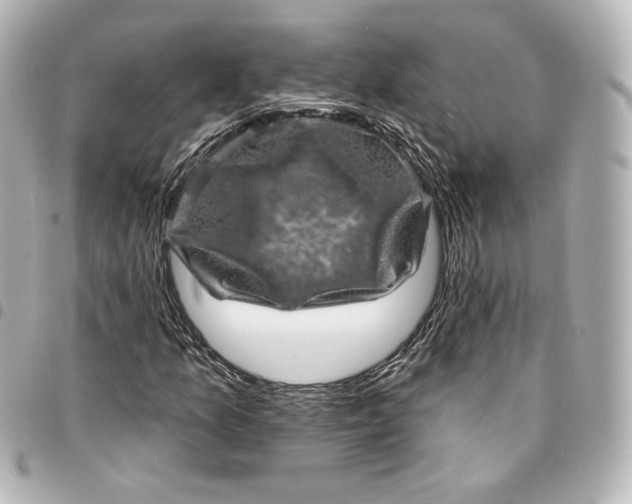 X0000095531157200712281516