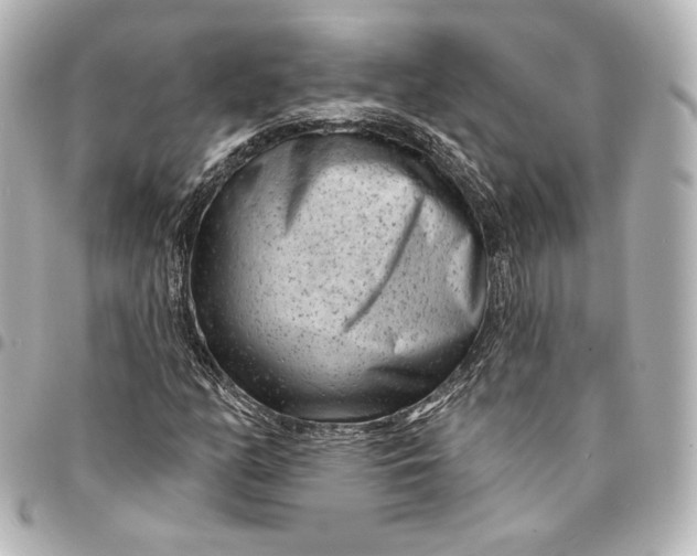 X0000095531158200712281516