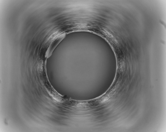 X0000095531161200712281516