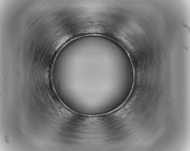 X0000095531162200712281516