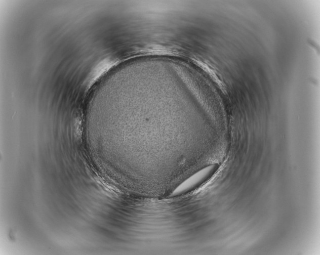 X0000095531163200712281516