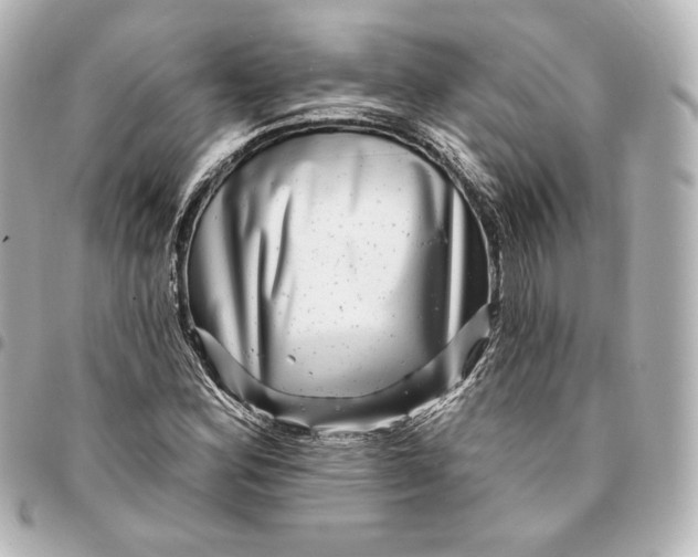 X0000095531164200712281516