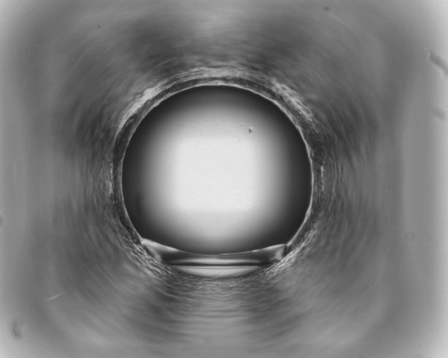 X0000095531165200712281516