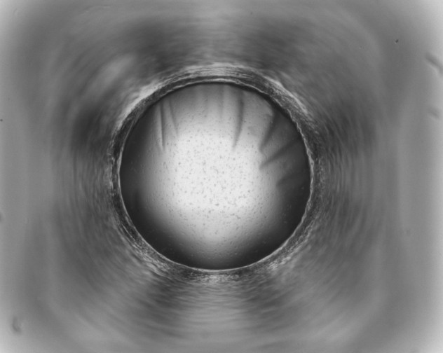 X0000095531166200712281516